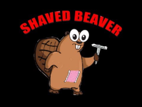 photos Shaved beaver