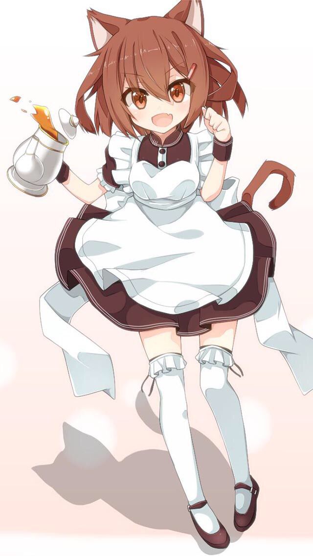 cat maid Anime