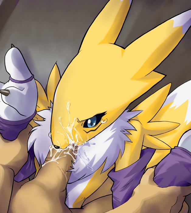 quiz Renamon hentai